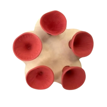 Carica l&#39;immagine nel visualizzatore di Gallery, Coppa per api discreta, Attraente e Colorata -Rosso - Ozerty
