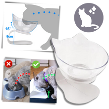 Carica l&#39;immagine nel visualizzatore di Gallery, Ciotola comfort rialzata per gatti - Ozerty
