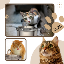 Carica l&#39;immagine nel visualizzatore di Gallery, Fontana per gatti di grande capacità - Ozerty
