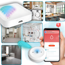 Carica l&#39;immagine nel visualizzatore di Gallery, Sensore Wireless LeakLock - Ozerty
