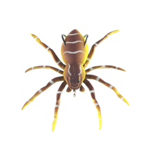 Carica l&#39;immagine nel visualizzatore di Gallery, Esche ragno a movimento naturale -Marrone - Ozerty
