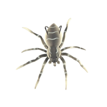Carica l&#39;immagine nel visualizzatore di Gallery, Esche ragno a movimento naturale -Grigio - Ozerty
