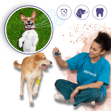 Carica l&#39;immagine nel visualizzatore di Gallery, Gel Orale per Animali Domestici - Ozerty
