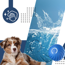 Carica l&#39;immagine nel visualizzatore di Gallery, Palla intelligente anti-ostacoli per cani - Ozerty
