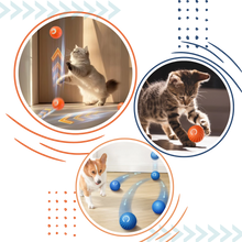 Carica l&#39;immagine nel visualizzatore di Gallery, Palla intelligente anti-ostacoli per cani - Ozerty
