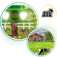 Carica l&#39;immagine nel visualizzatore di Gallery, Repellente per Animali ad Energia Solare con Sensore di Movimento - Ozerty
