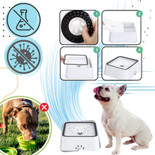 Carica l&#39;immagine nel visualizzatore di Gallery, Fontanella per Cani Anti-Schizzo - Ozerty
