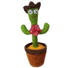 Carica l&#39;immagine nel visualizzatore di Gallery, Pappagallo cactus parlante
